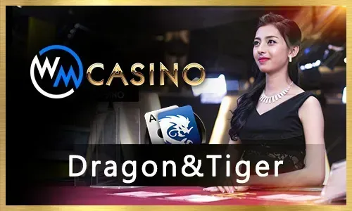 Jilibee Sabong Betting